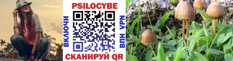 Псилоцибиновые грибы Psilocybine cubensis  Новая Усмань 